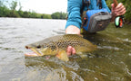 Parachute Black Gnat Classic Dry Fly - 12 Flies Size 14