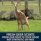 Buck Commander Rut Package