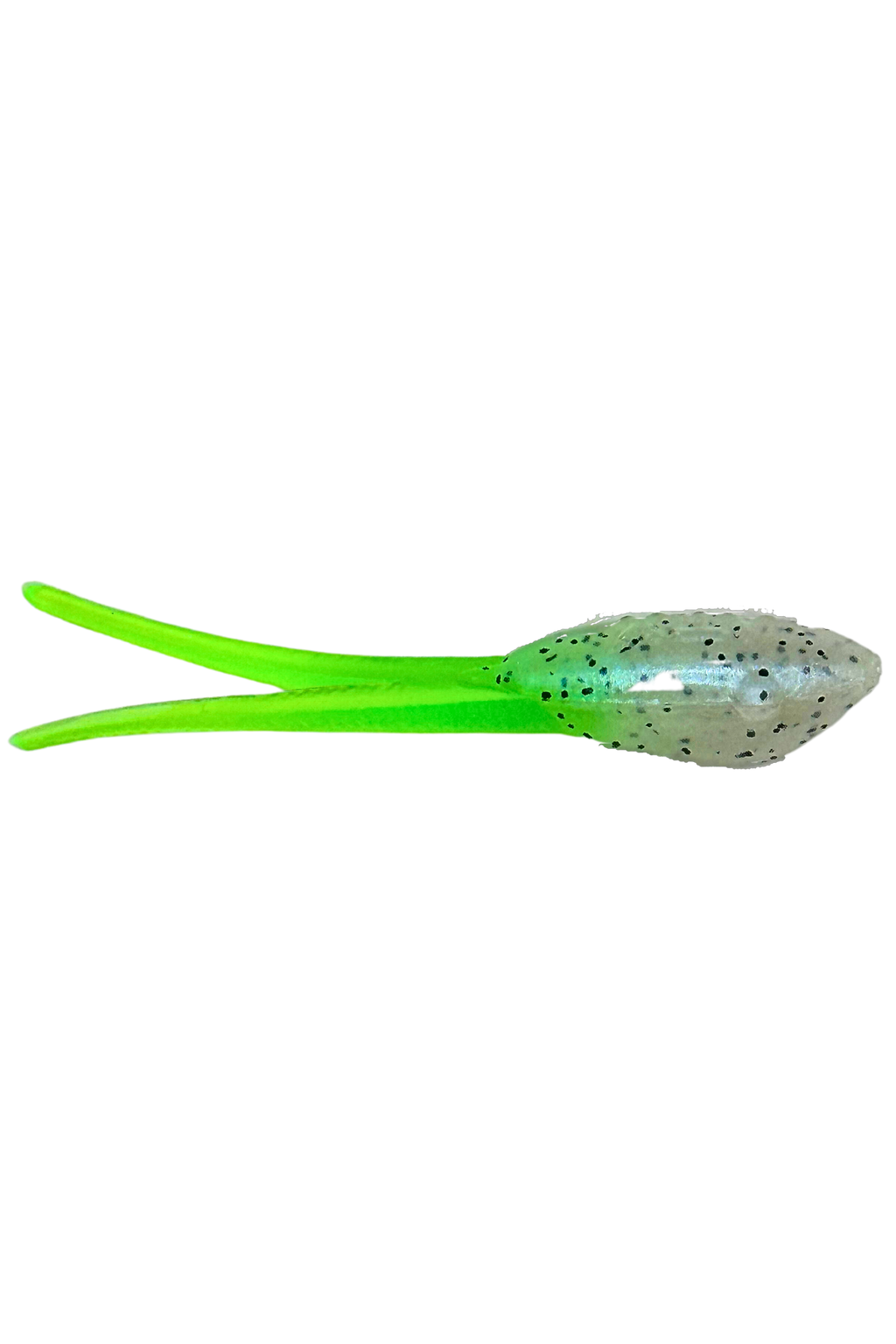 Wicked Shad