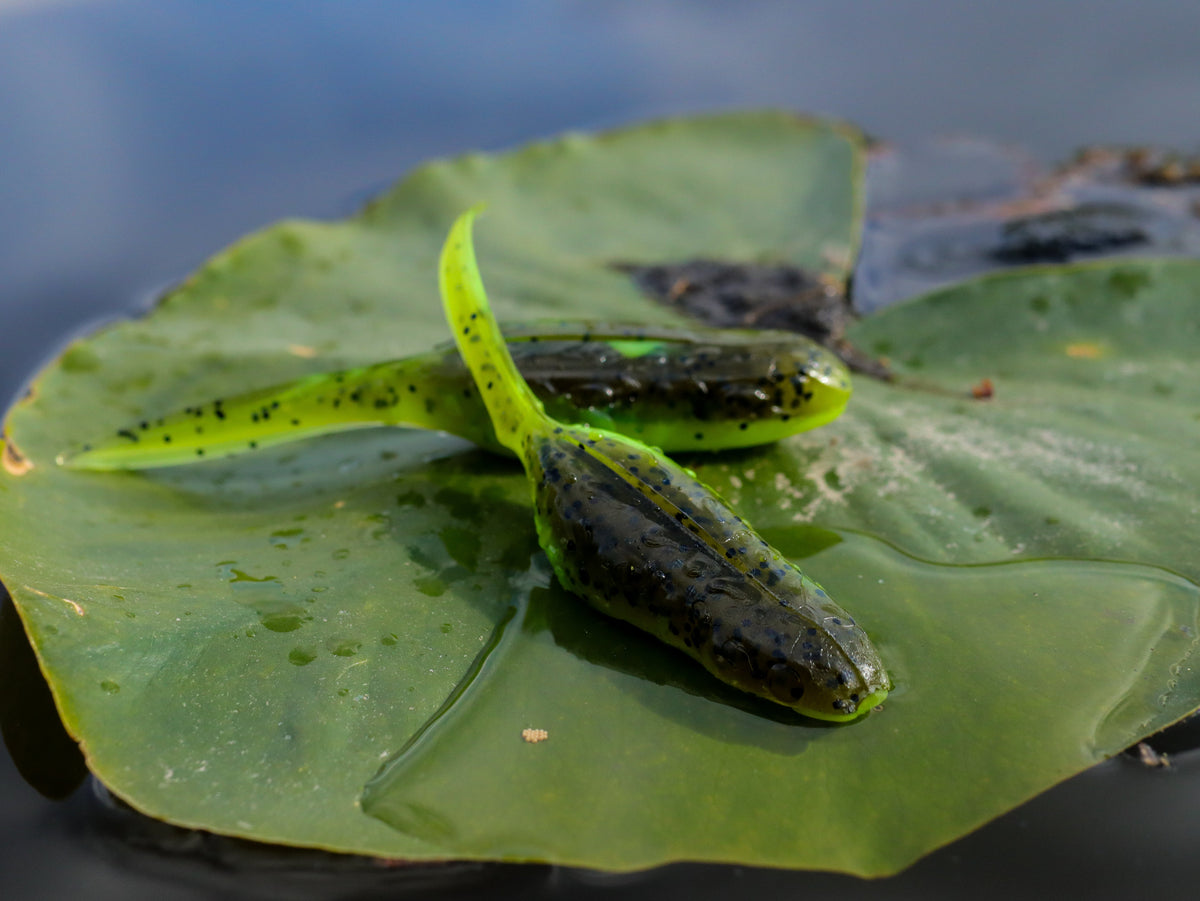 Froglet