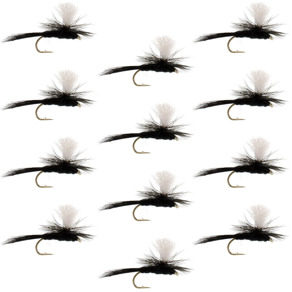 Parachute Black Gnat Classic Dry Fly - 12 Flies Size 14