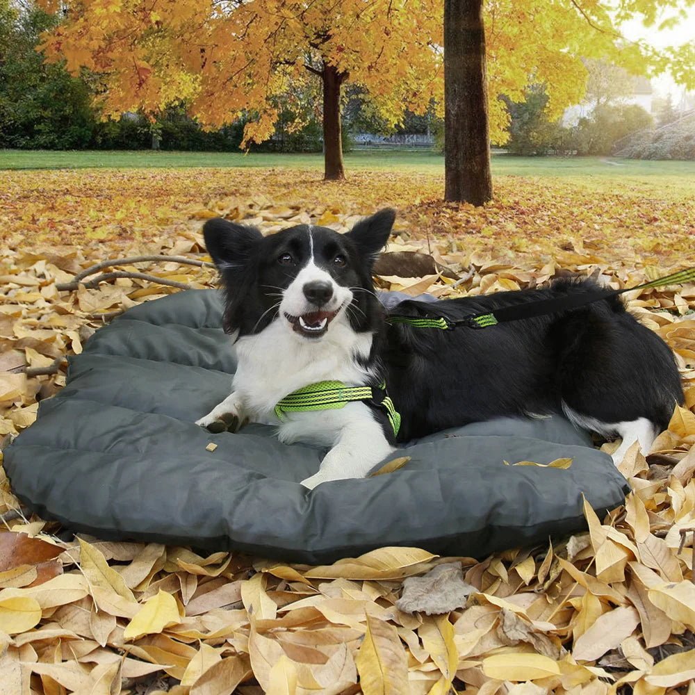 Thin Spring Autumn Pet Mat Picnic Dog Bed Blanket Foldable Pet Mat Cushion Cat Puppy Waterproof Outdoor Pad For Camping Travel