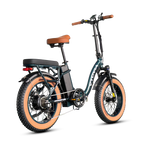 VTUVIA SF20H Utility Ebike