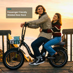 VTUVIA SF20H Utility Ebike