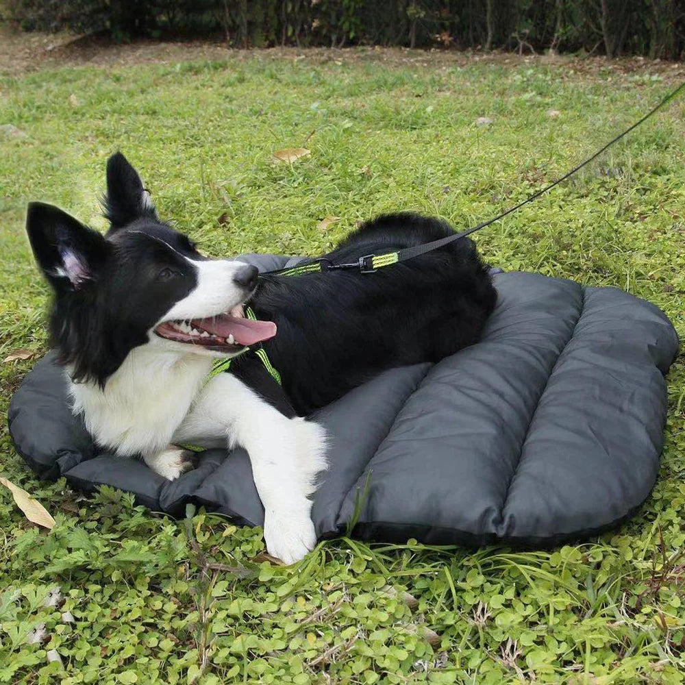 Thin Spring Autumn Pet Mat Picnic Dog Bed Blanket Foldable Pet Mat Cushion Cat Puppy Waterproof Outdoor Pad For Camping Travel