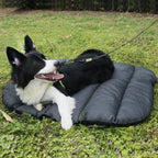 Thin Spring Autumn Pet Mat Picnic Dog Bed Blanket Foldable Pet Mat Cushion Cat Puppy Waterproof Outdoor Pad For Camping Travel