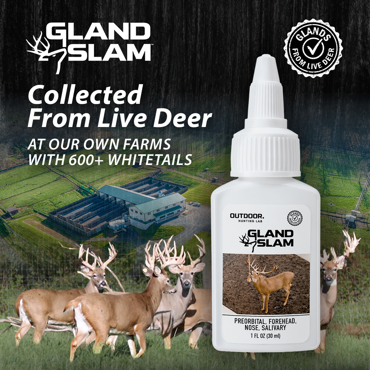 Gland Slam Pro Pack