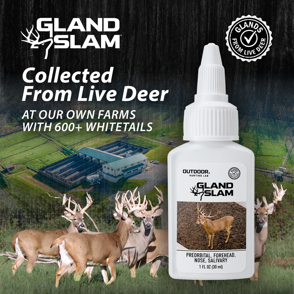 Gland Slam Triple Pack