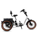 VTUVIA E-Cozy Electric Trike