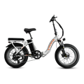 VTUVIA SF20H Utility Ebike