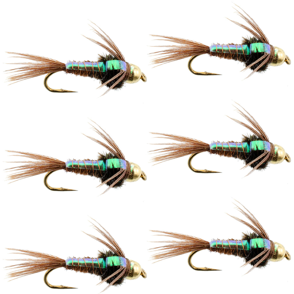 Tungsten Bead Head Flash Back Pheasant Tail Nymph 6 Flies Size 10