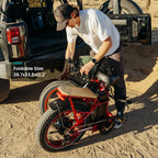 VTUVIA SF20H Utility Ebike