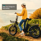 VTUVIA SF20H Utility Ebike